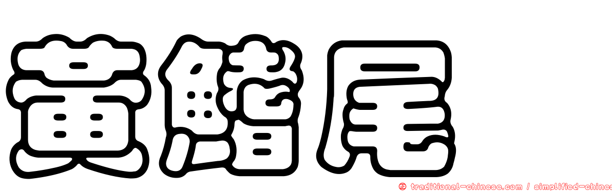 黃鰭尾鯙