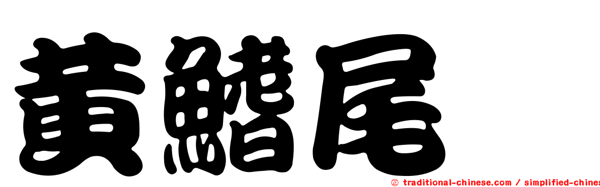 黃鰭尾鯙