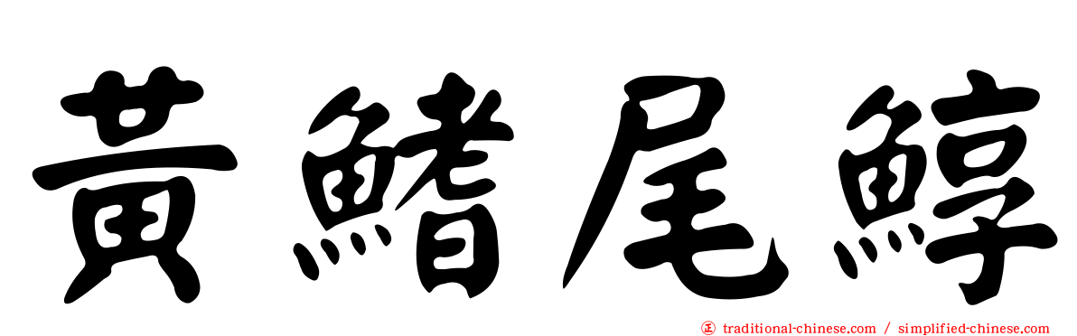 黃鰭尾鯙
