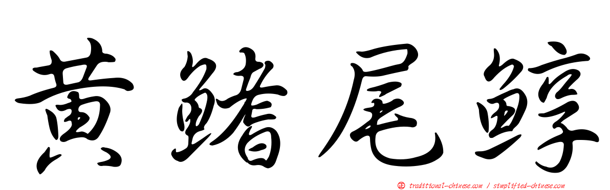 黃鰭尾鯙
