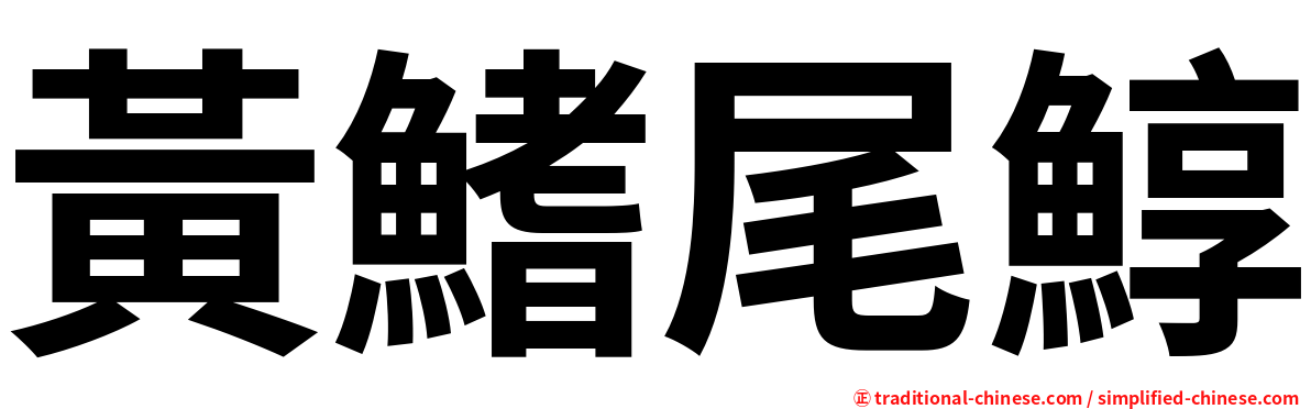 黃鰭尾鯙
