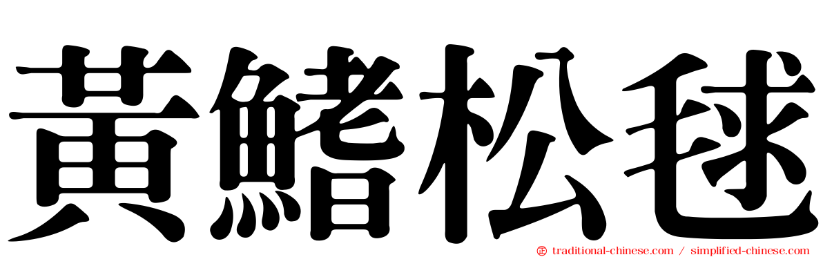 黃鰭松毬