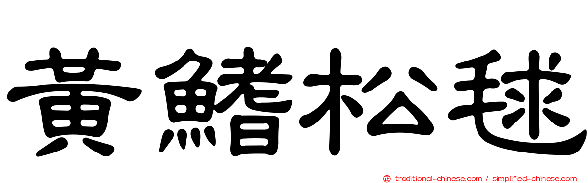 黃鰭松毬