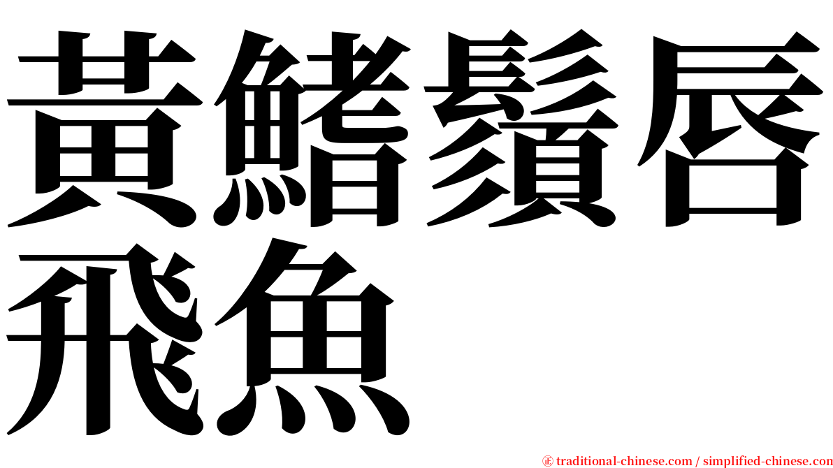 黃鰭鬚唇飛魚 serif font