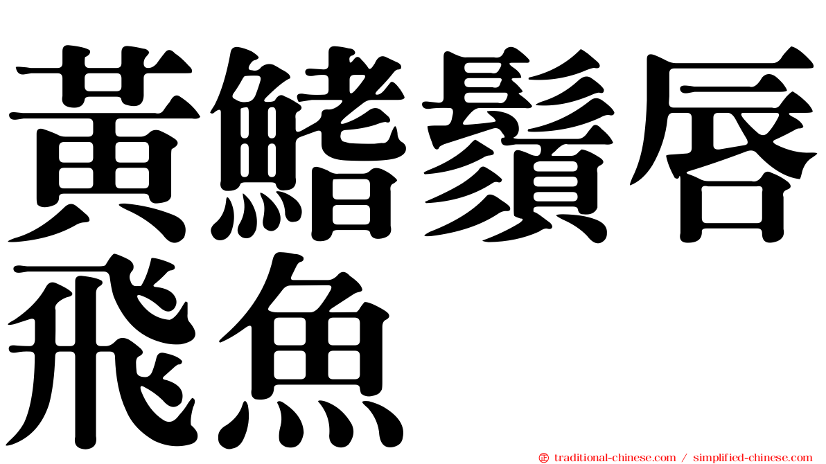 黃鰭鬚唇飛魚