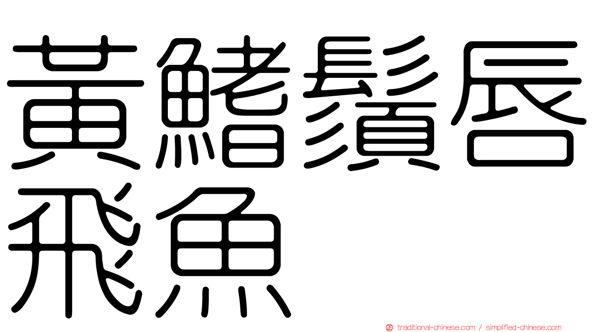 黃鰭鬚唇飛魚