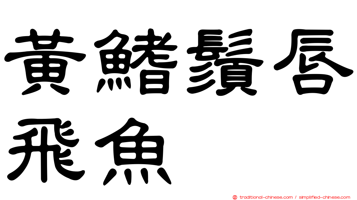 黃鰭鬚唇飛魚