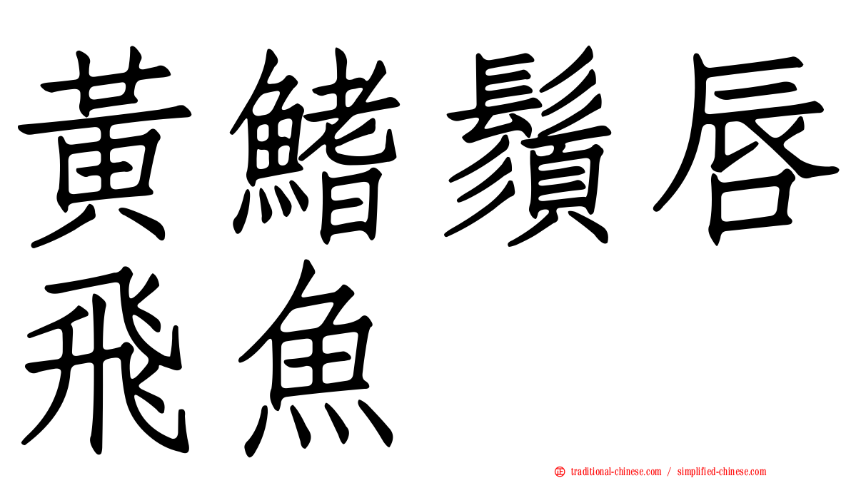 黃鰭鬚唇飛魚