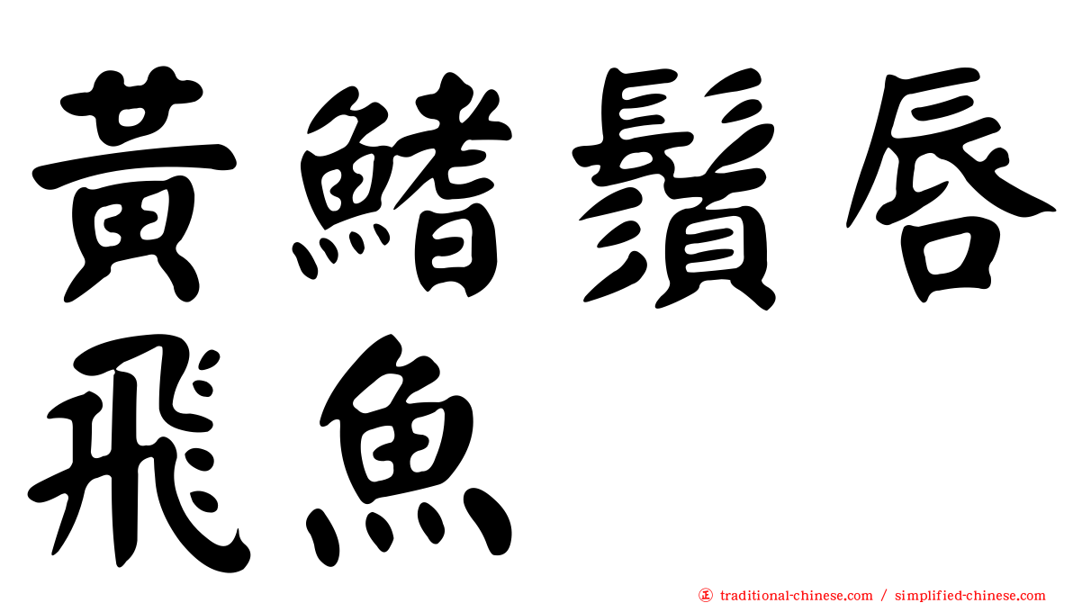 黃鰭鬚唇飛魚