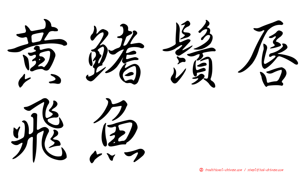 黃鰭鬚唇飛魚