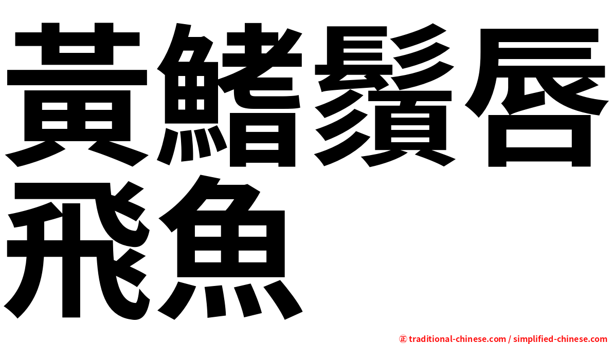 黃鰭鬚唇飛魚