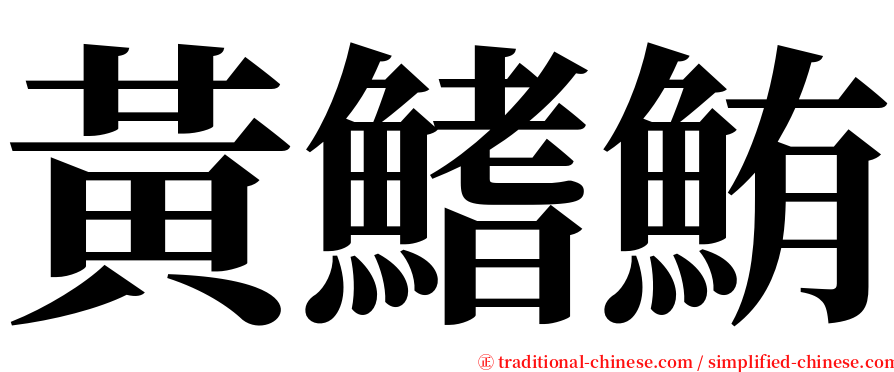 黃鰭鮪 serif font