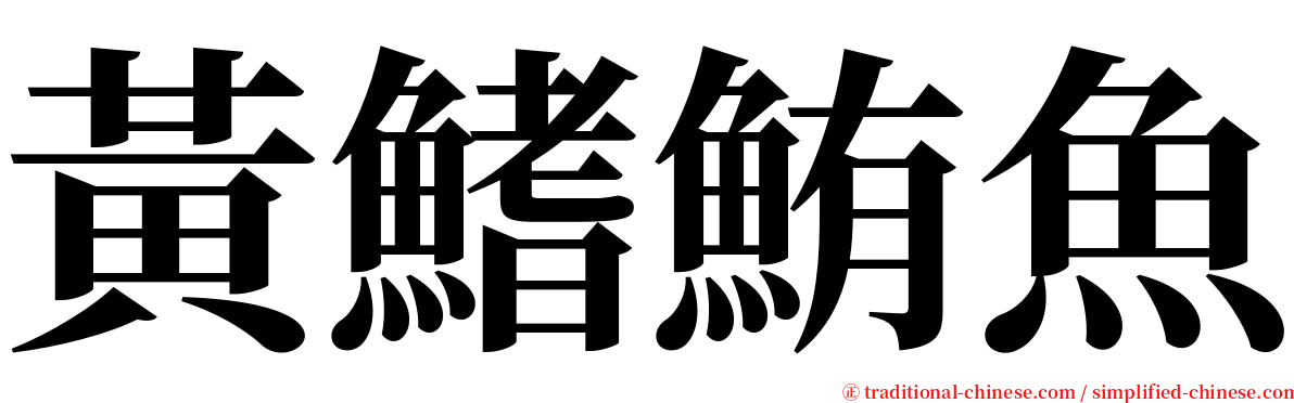 黃鰭鮪魚 serif font