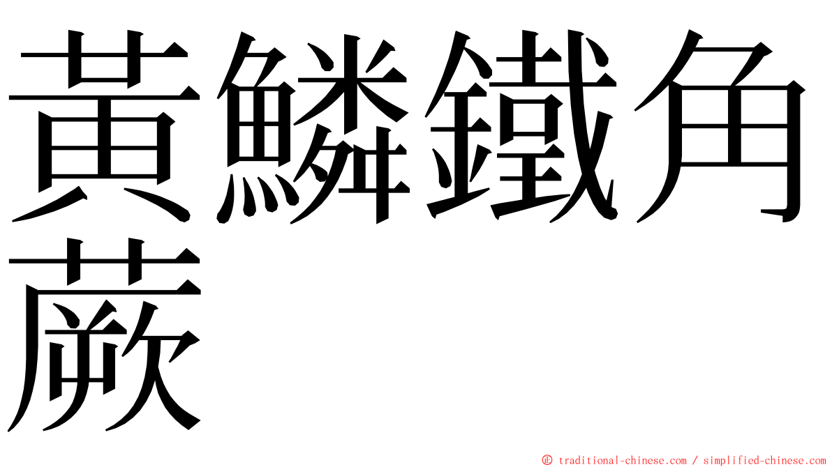 黃鱗鐵角蕨 ming font