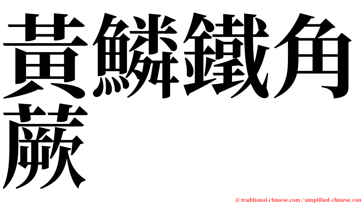 黃鱗鐵角蕨 serif font