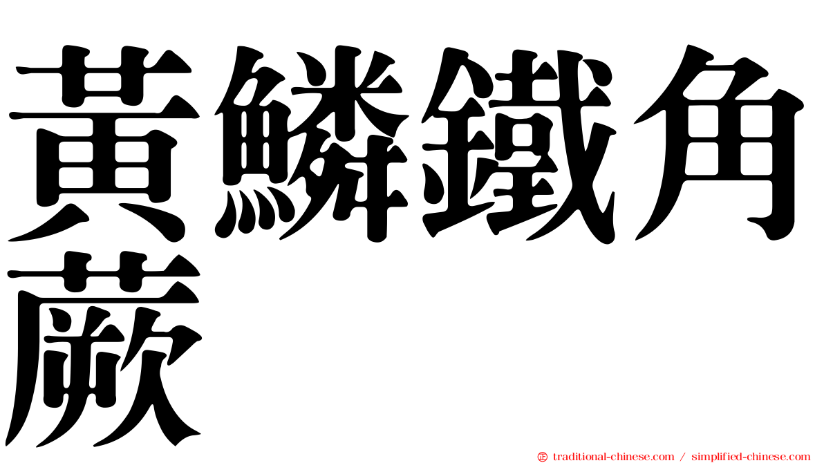 黃鱗鐵角蕨
