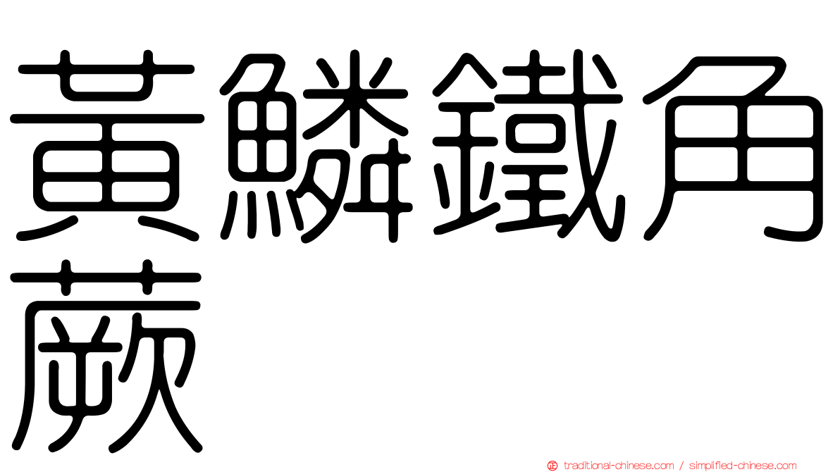 黃鱗鐵角蕨