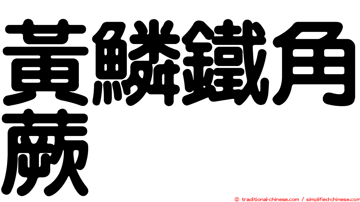 黃鱗鐵角蕨