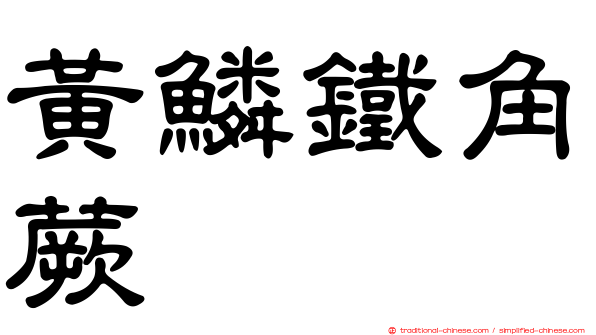 黃鱗鐵角蕨