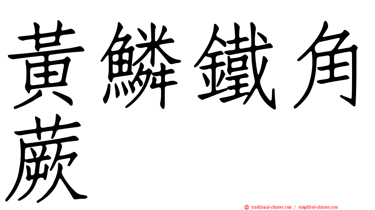 黃鱗鐵角蕨