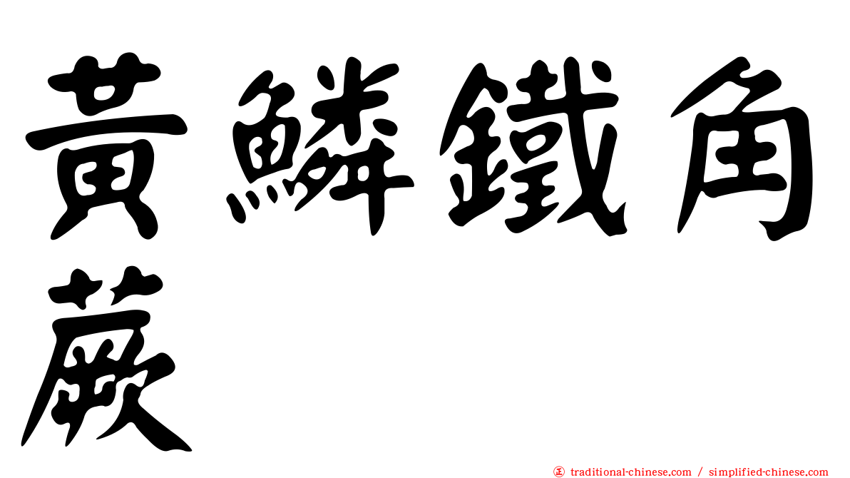 黃鱗鐵角蕨