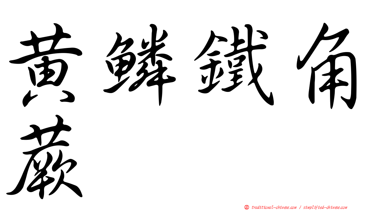 黃鱗鐵角蕨