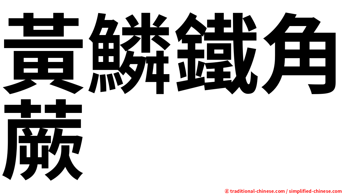 黃鱗鐵角蕨