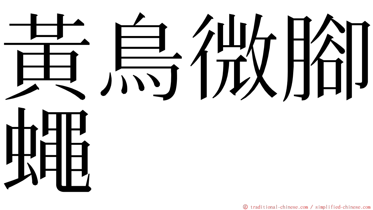 黃鳥微腳蠅 ming font