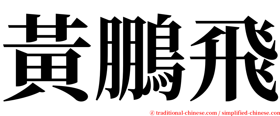 黃鵬飛 serif font