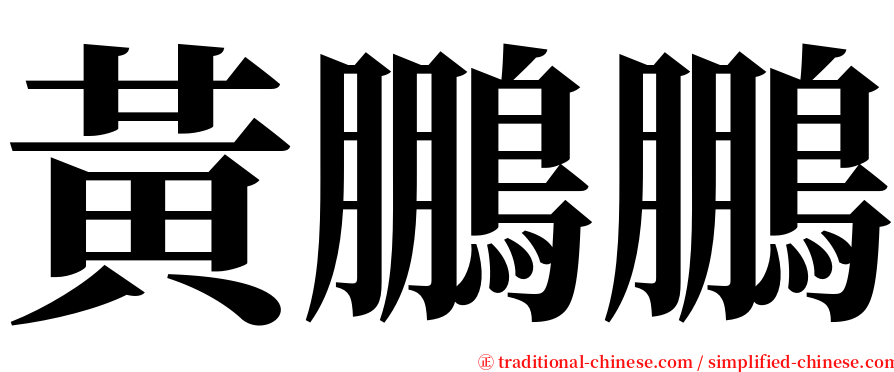 黃鵬鵬 serif font