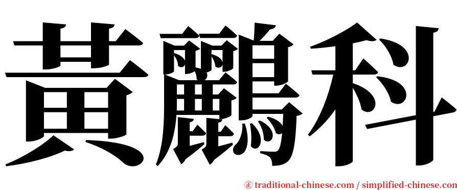 黃鸝科 serif font