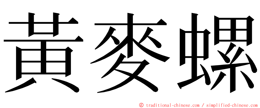 黃麥螺 ming font