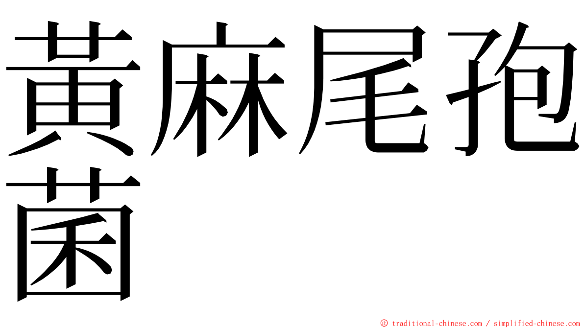 黃麻尾孢菌 ming font