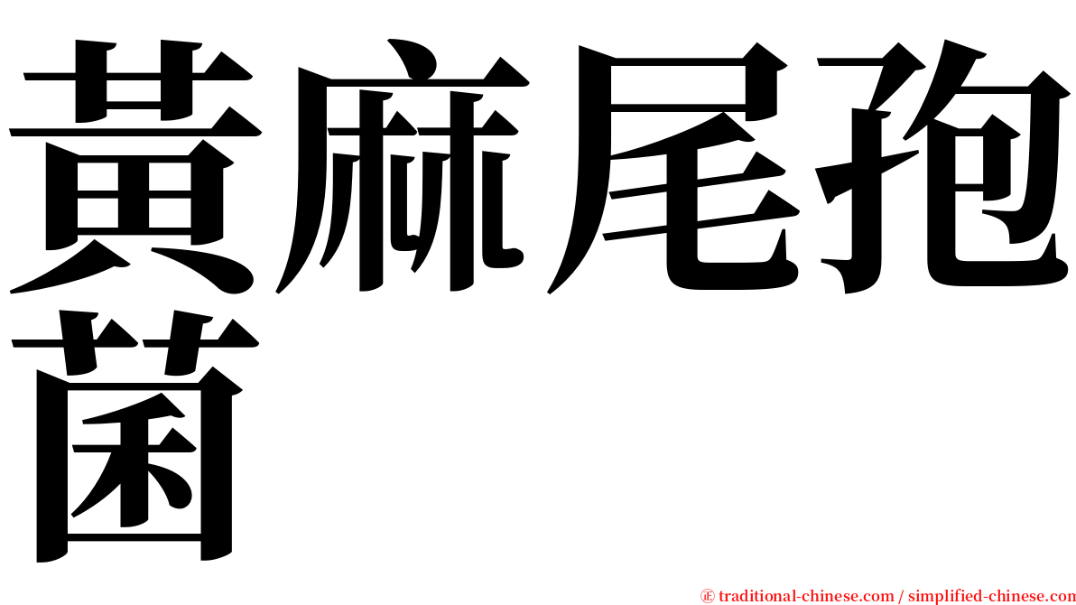 黃麻尾孢菌 serif font