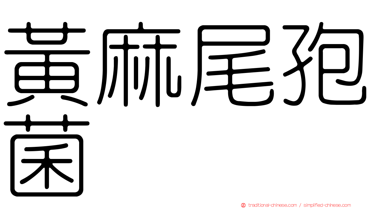 黃麻尾孢菌