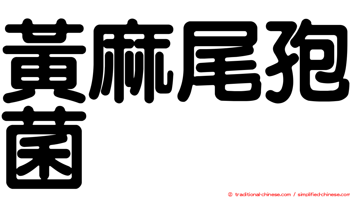 黃麻尾孢菌