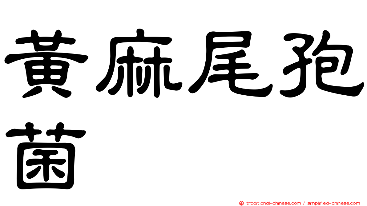 黃麻尾孢菌