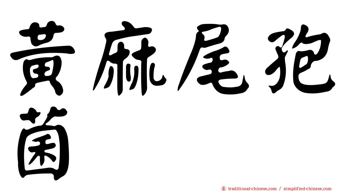黃麻尾孢菌