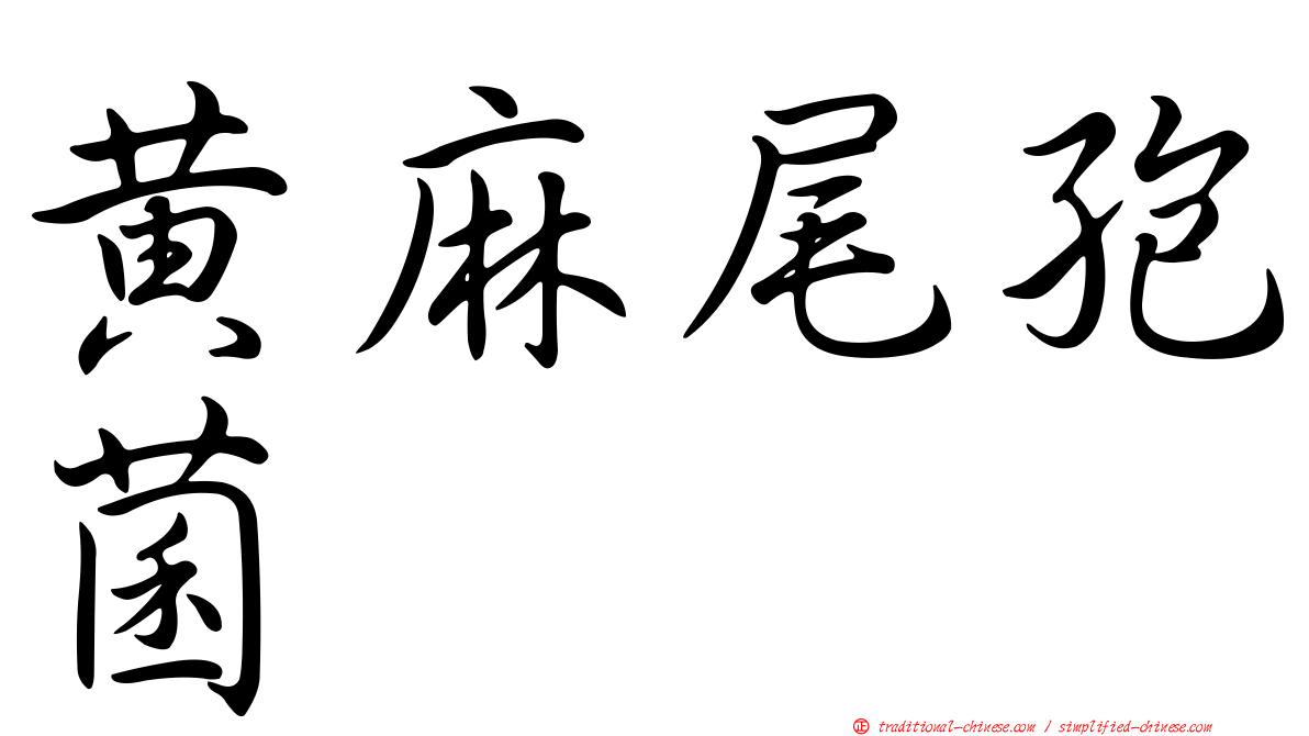 黃麻尾孢菌