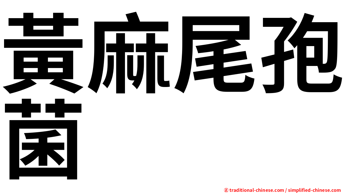 黃麻尾孢菌