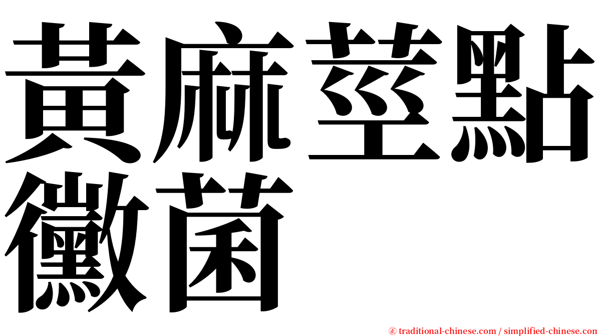 黃麻莖點黴菌 serif font