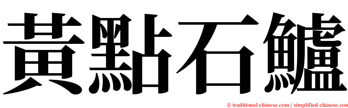 黃點石鱸 serif font