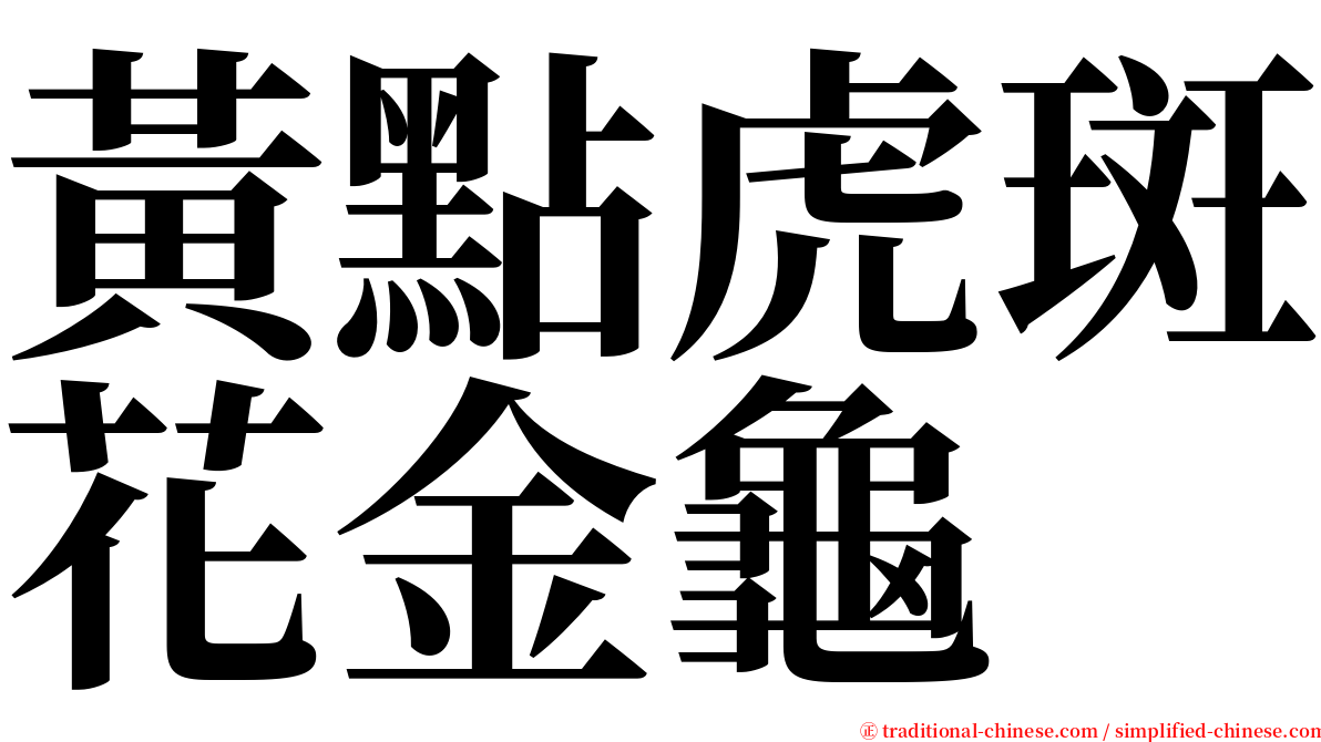 黃點虎斑花金龜 serif font