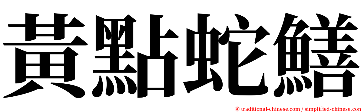 黃點蛇鱔 serif font