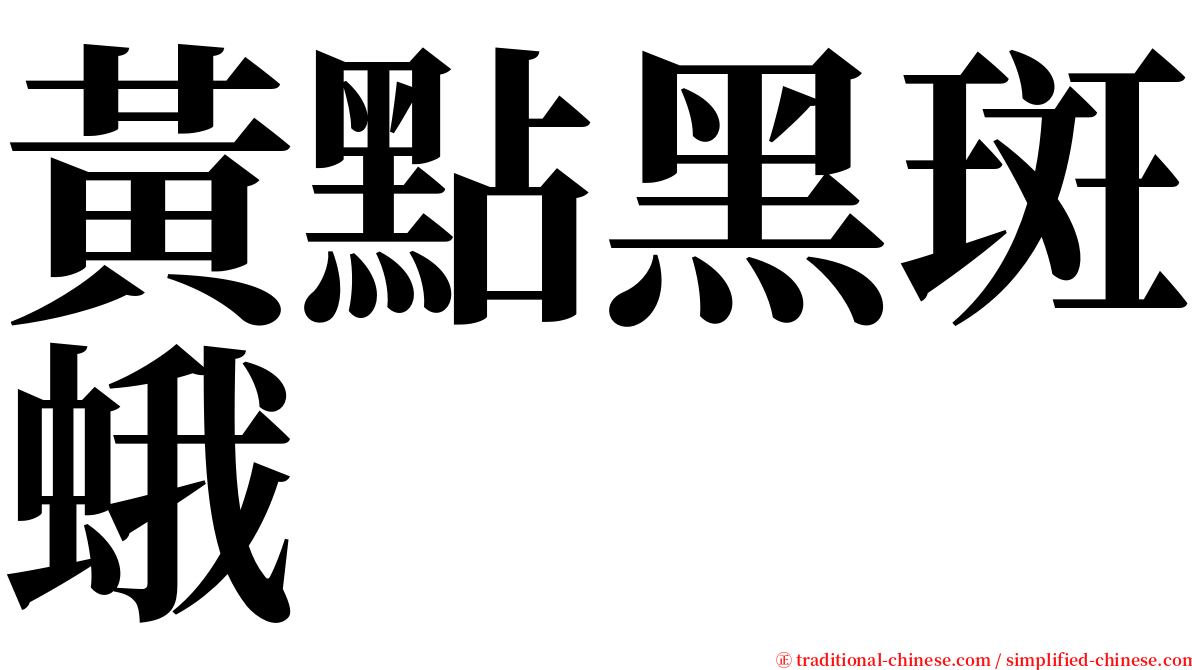 黃點黑斑蛾 serif font