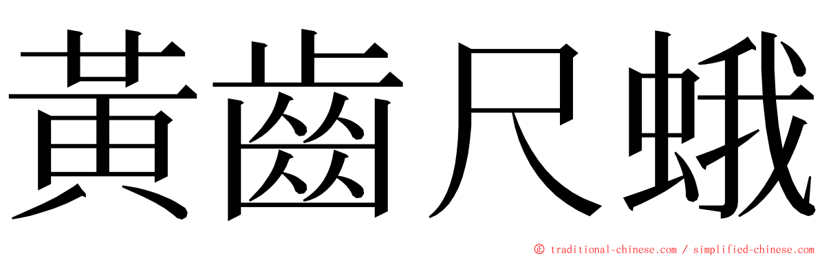 黃齒尺蛾 ming font