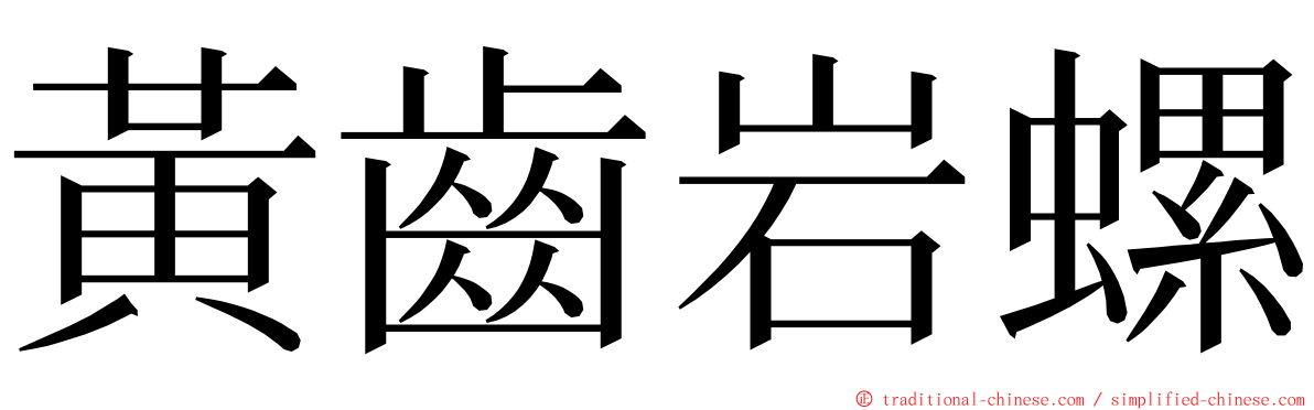 黃齒岩螺 ming font