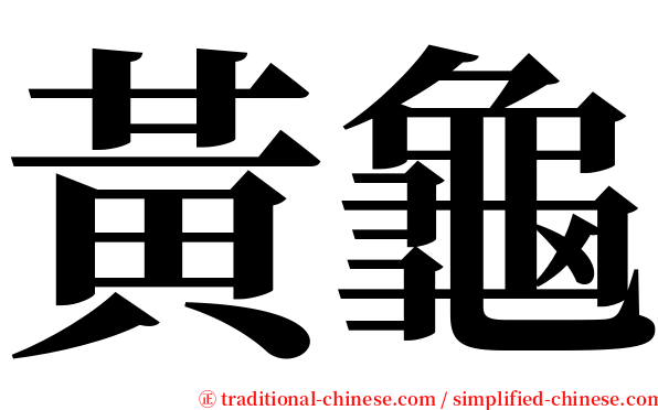 黃龜 serif font