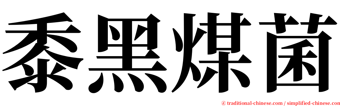 黍黑煤菌 serif font