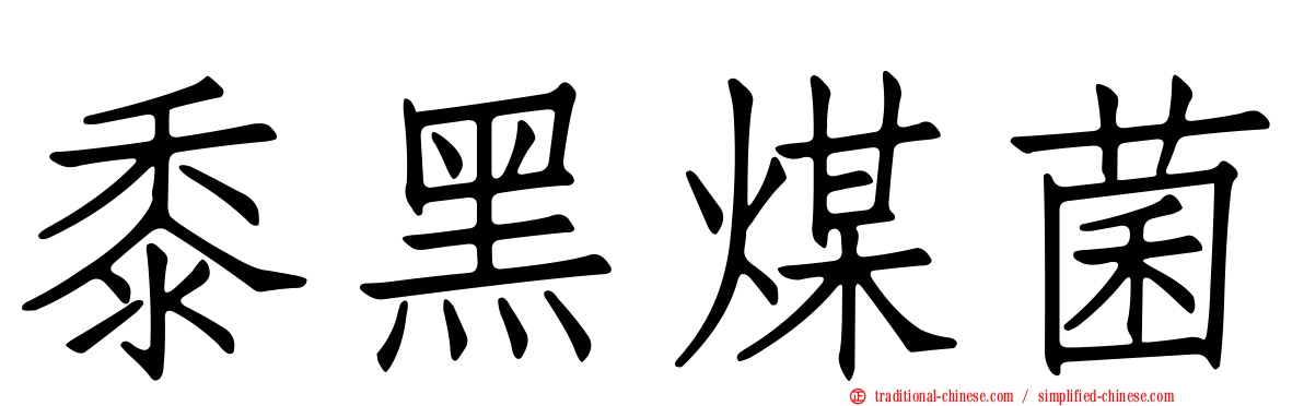 黍黑煤菌